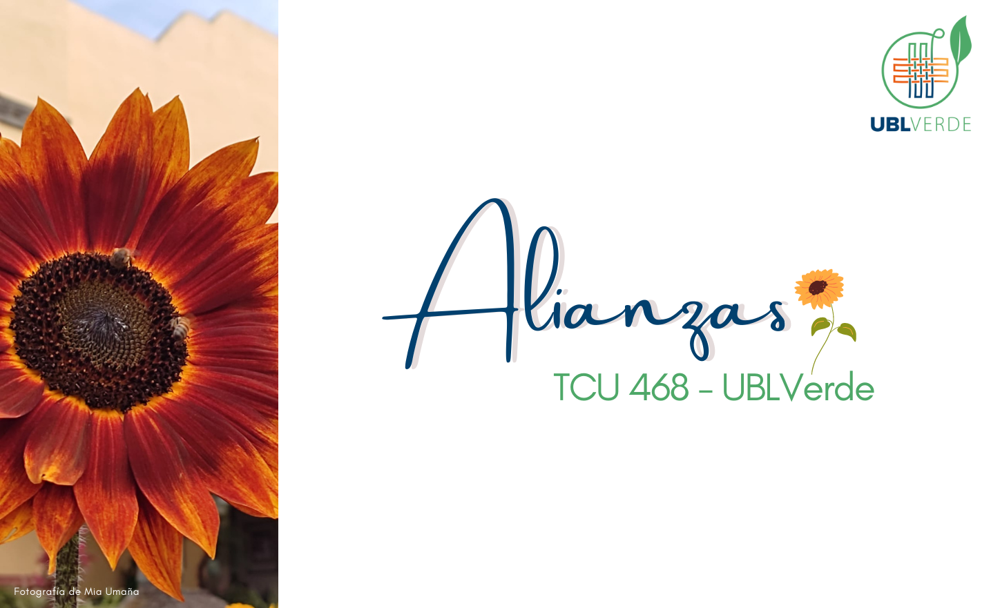 Alianzas: TCU-468 Agricultura Orgánica Urbana, CIA-UCR